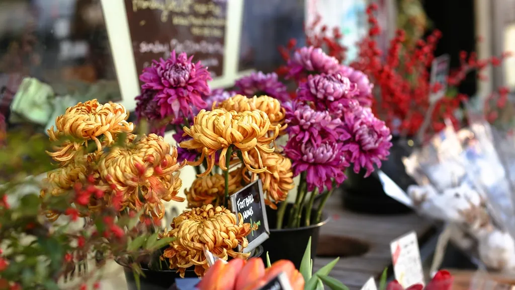 Bouquets of chrysanthemums outside a florist, a small shop that may need a business valuation before selling