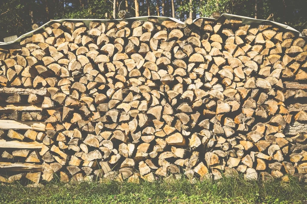 Long stack of split firewood on the grass at the edge of a wooded lot