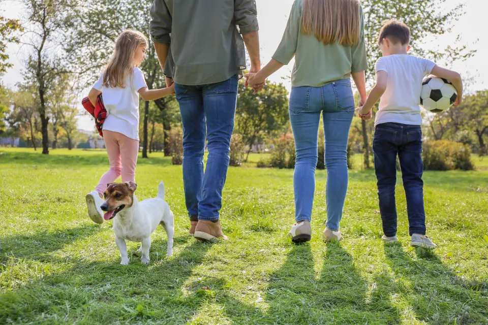 Family with two children and a small dog walking across a park lawn Family with two children and a small dog walking across a park lawn