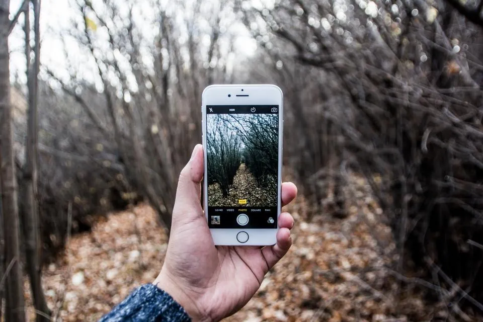 Hand holding a smartphone to take a photo of a wooded path